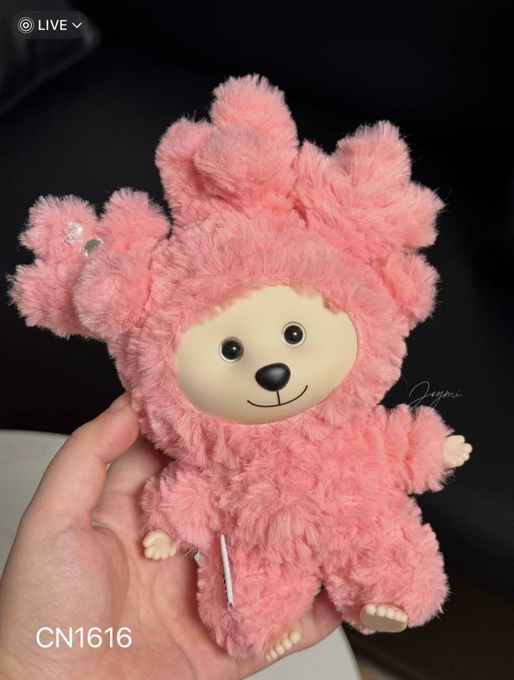 image_67A6A0D2-BED5-439E-9360-5C4510E4838F_1769858706