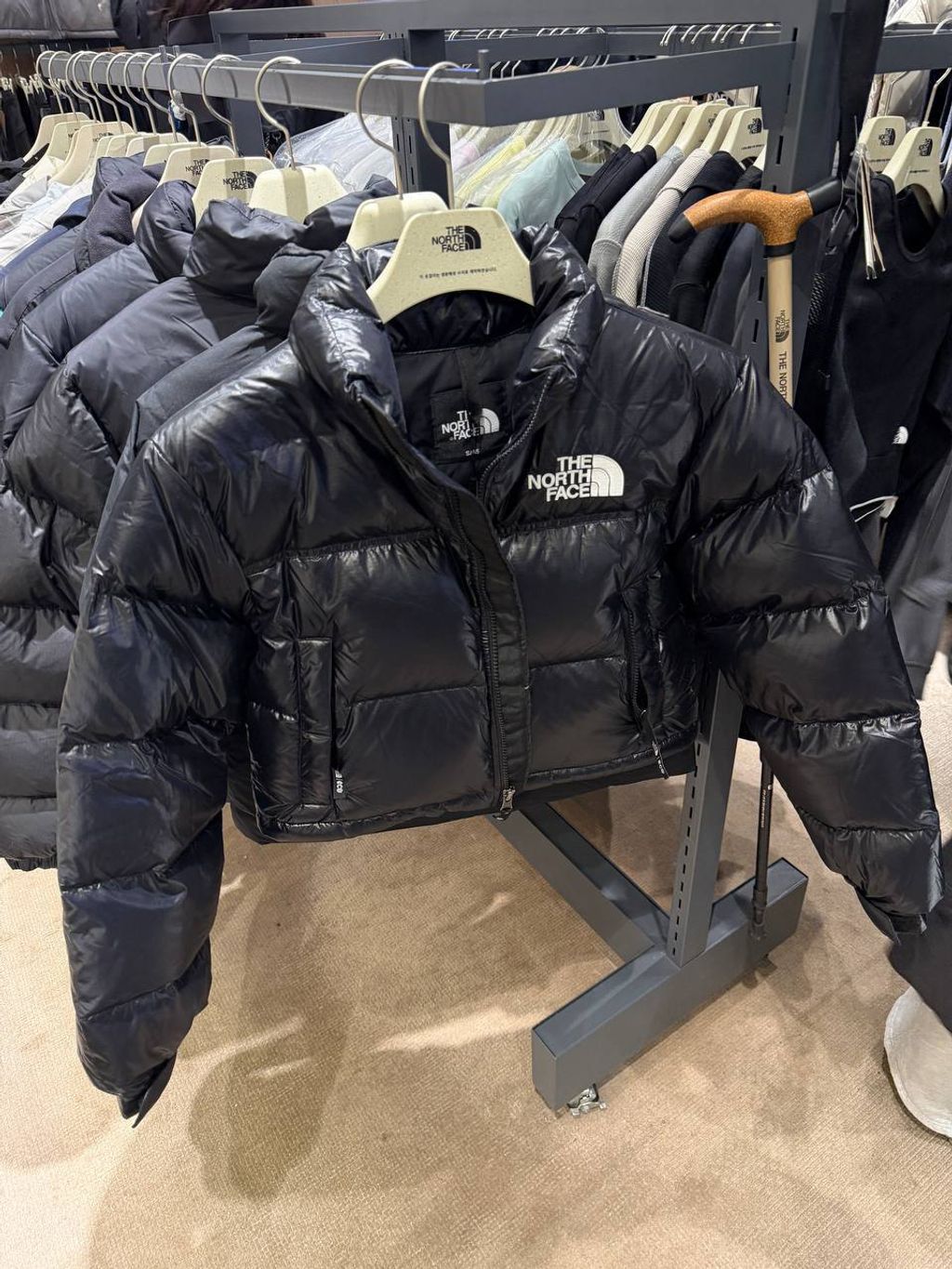 image_33428233-AEDE-4DE7-A424-E6DC4DCB081A_1770520663