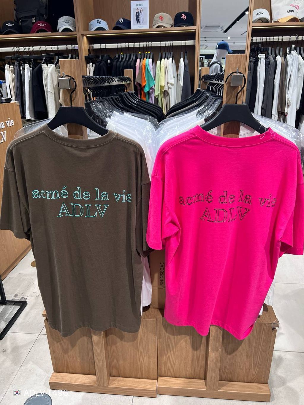 image_5427286A-6352-4519-ABAE-1CCACEBC0B21_1770525929