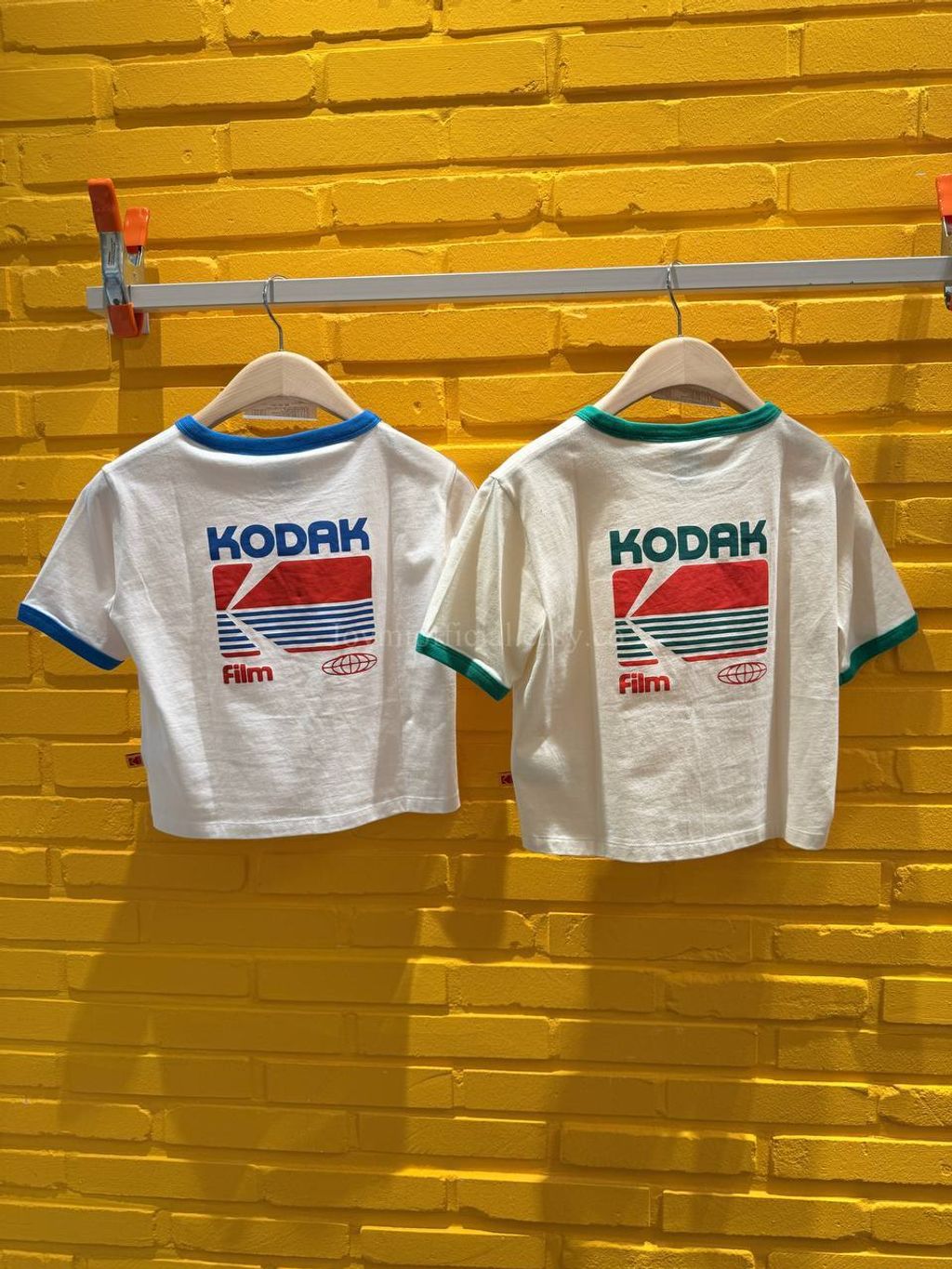 image_4BC0B9B8-1FED-4BC9-803E-1179DF879242_1770527019