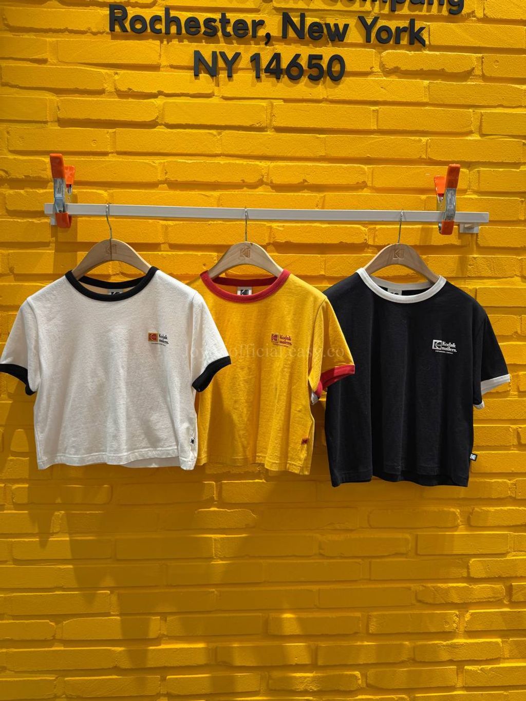 image_A6127F71-4BD9-4B43-97D6-DB8DD28D5DAD_1770528251