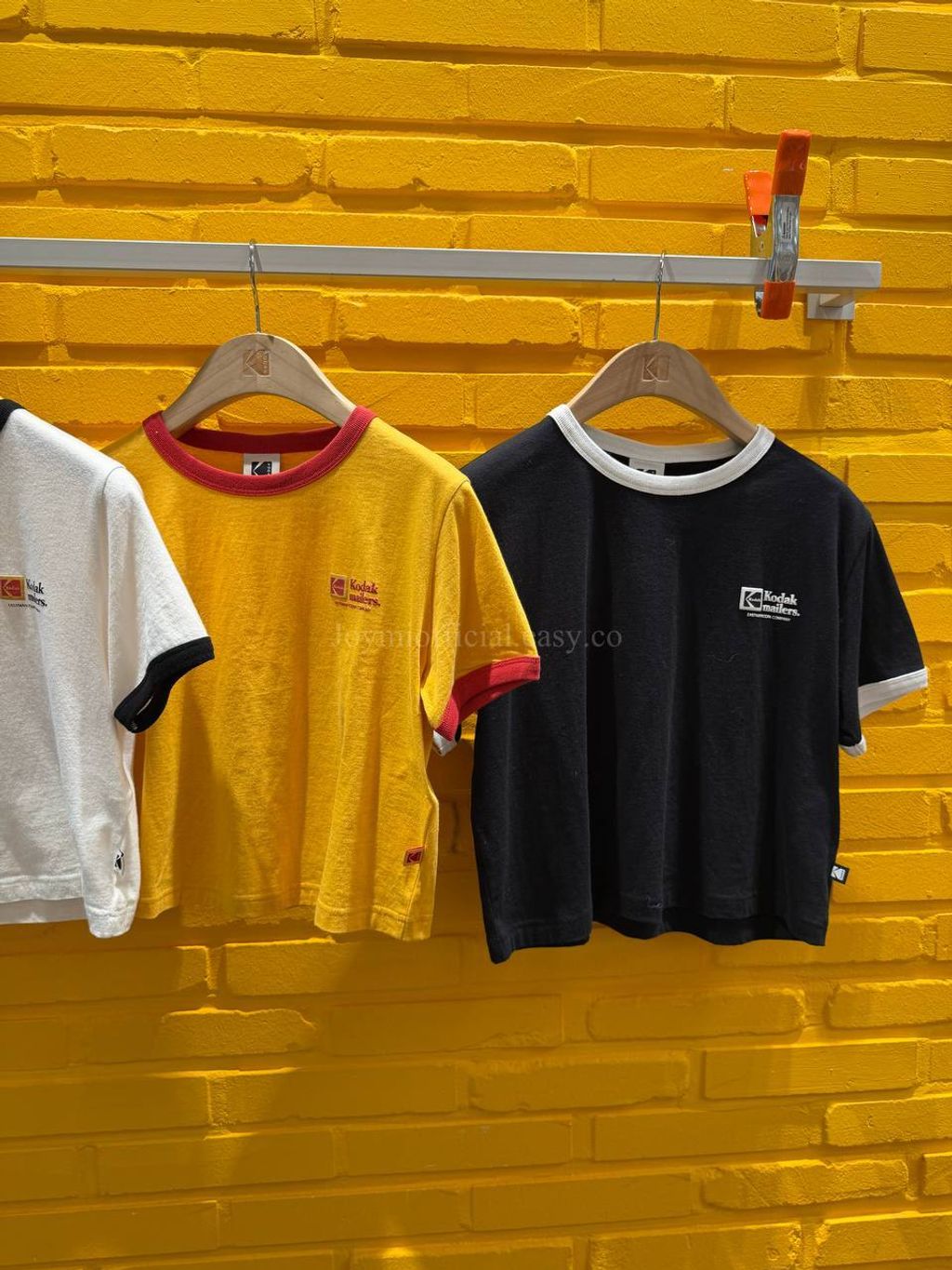 image_342BC26D-4238-4A35-8B47-C68AA9F41EA4_1770528251