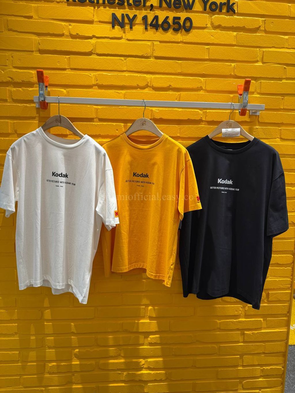 image_8E348180-7FDE-4611-84A7-C1B0661A713F_1770528311