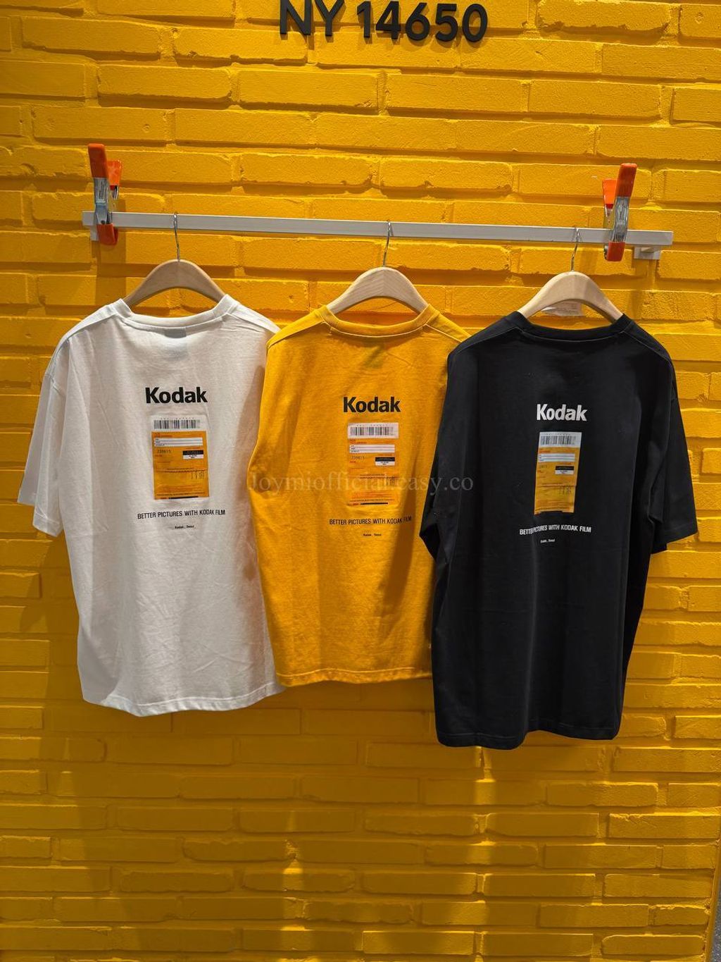 image_87D44114-1417-4858-9D54-581BF03A00EE_1770528311