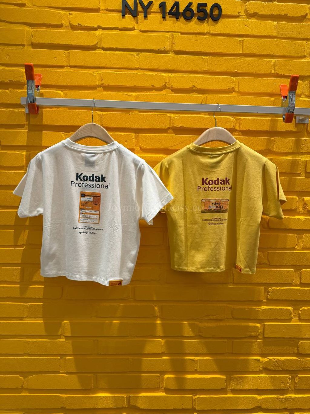 image_5FD6B628-D43C-4EA7-90A2-B4F24871401E_1770528546