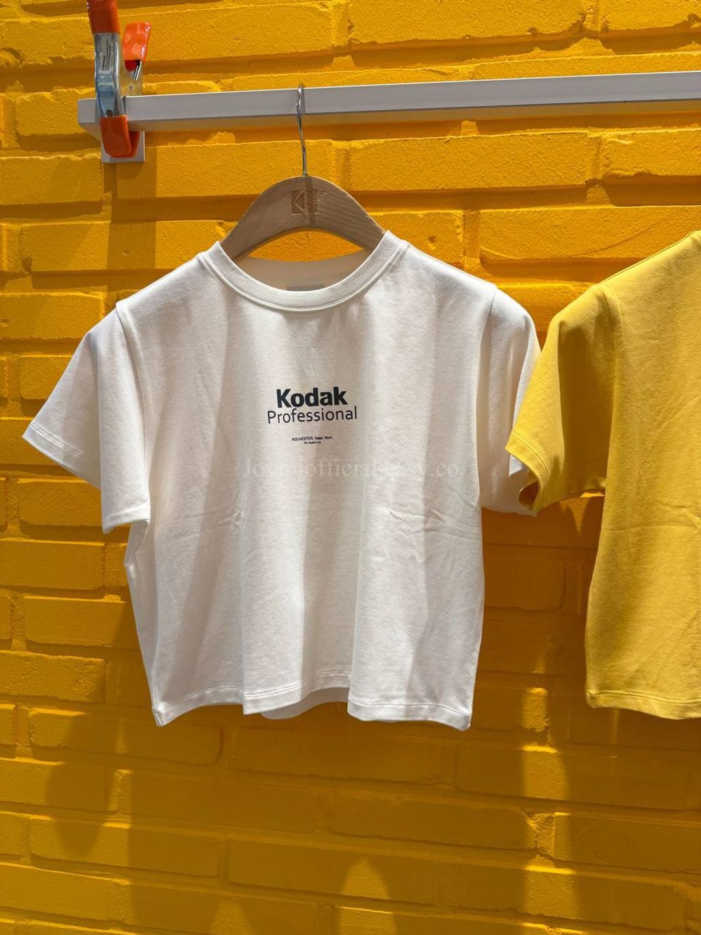 image_2CB2C78D-226B-486C-91C4-6A899CEA5231_1770528546