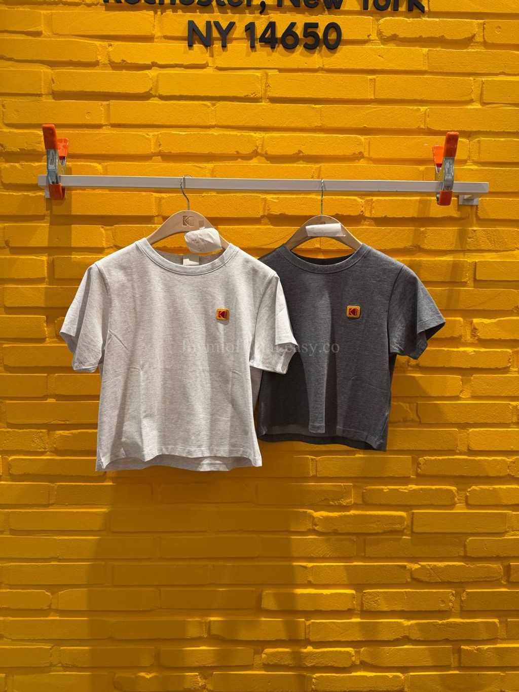 image_AA7B1FFB-F970-4AFE-A576-DAE673F51581_1770528595