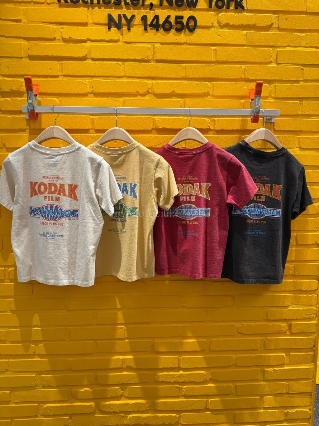 image_865072EC-2CD5-45EA-9F5A-EB6ADB63E939_1770528642