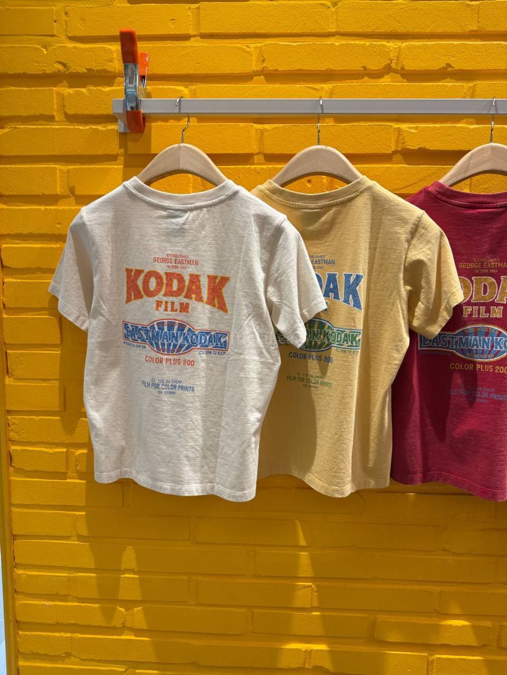 image_616D5CEF-5CCE-498E-8B29-8FEB0F5D175C_1770528642