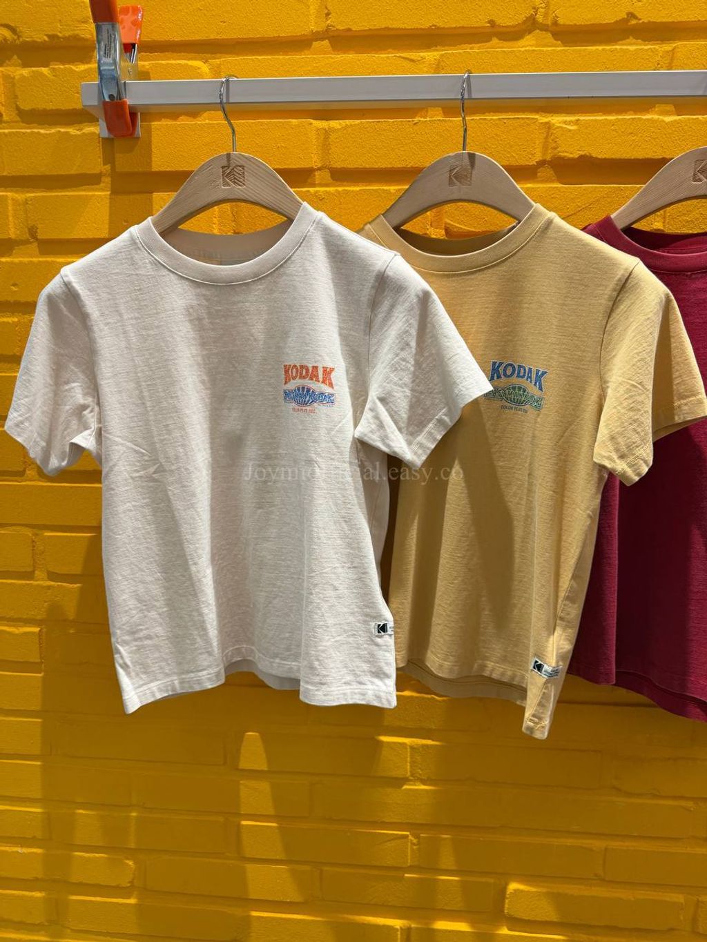 image_1C00DFF4-3284-4F16-B53F-67D9CA3528EB_1770528642