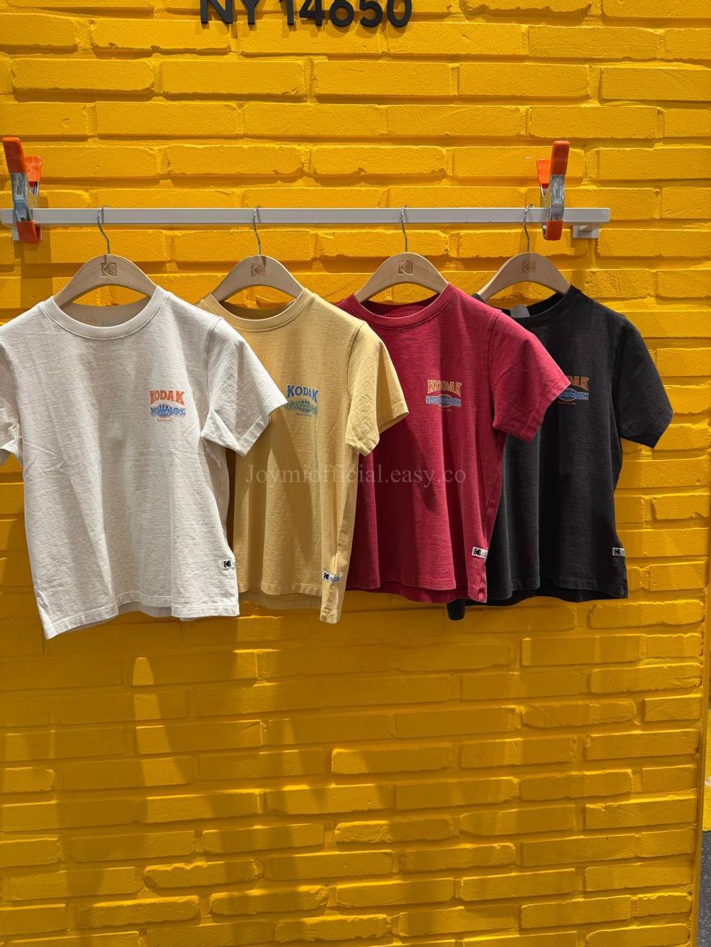 image_0B2769CA-7573-4876-BD2A-1E09F2A43651_1770528642