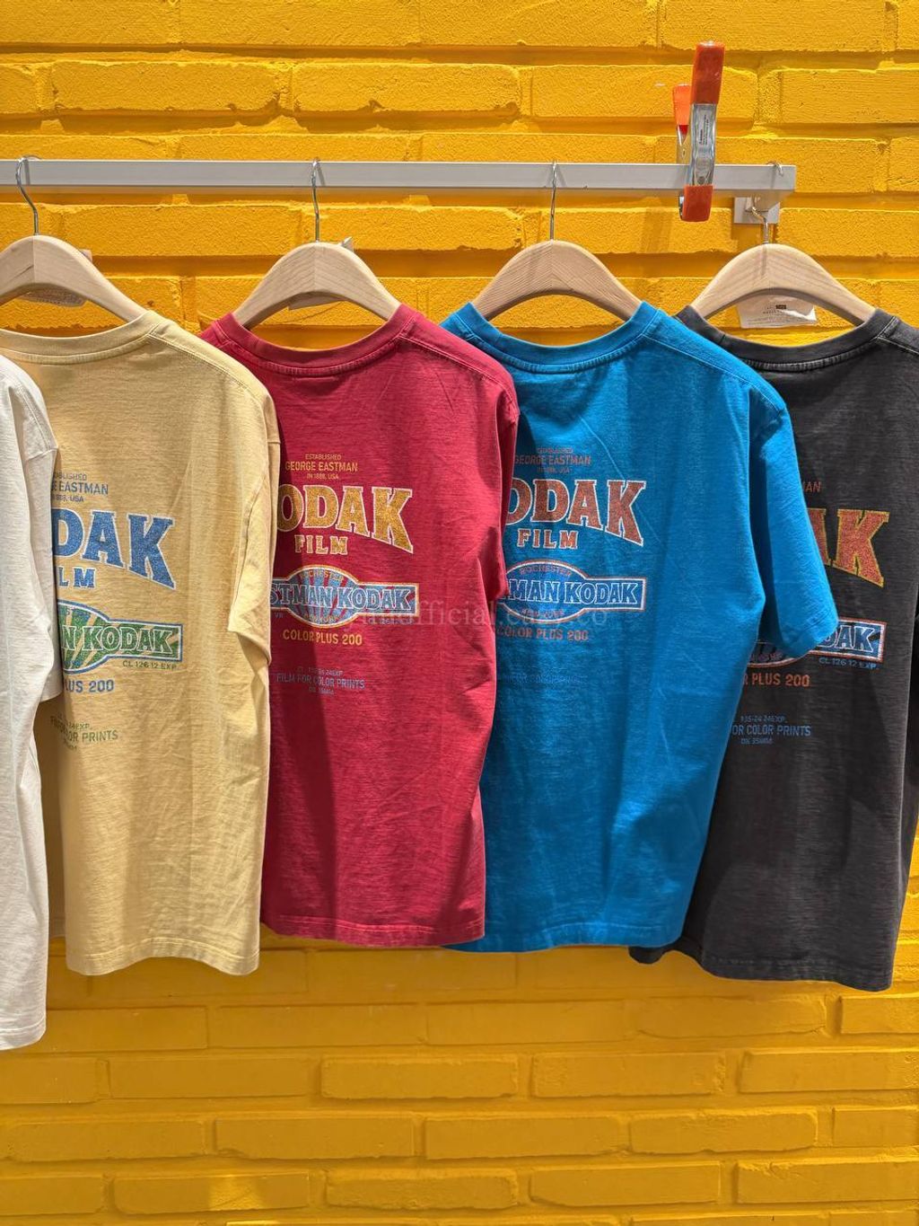 image_7C74764D-B382-4300-AA0B-31B0712B0ABC_1770528708