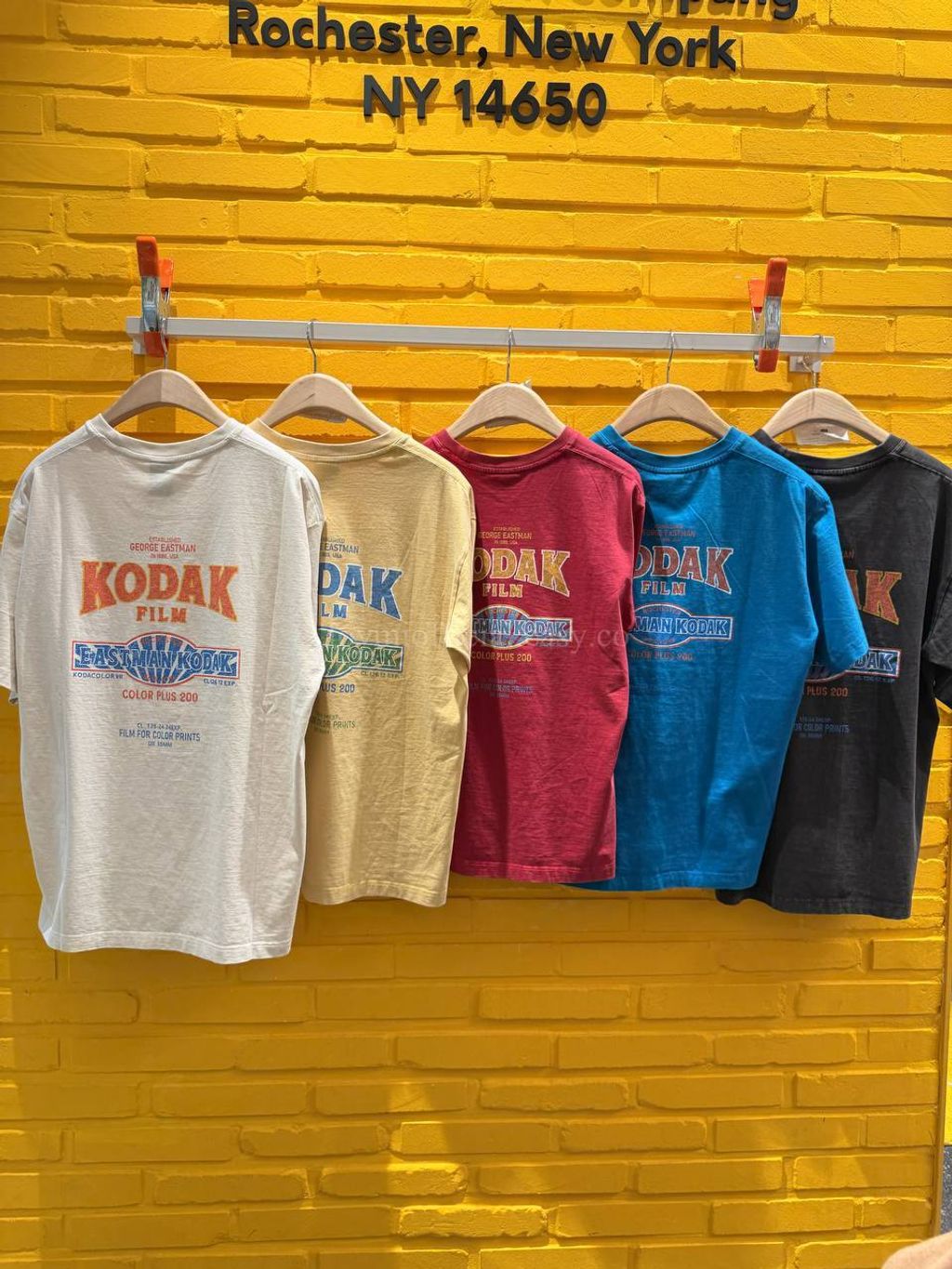 image_E2DC4CF0-D662-4C91-8949-E48C27250B61_1770528708