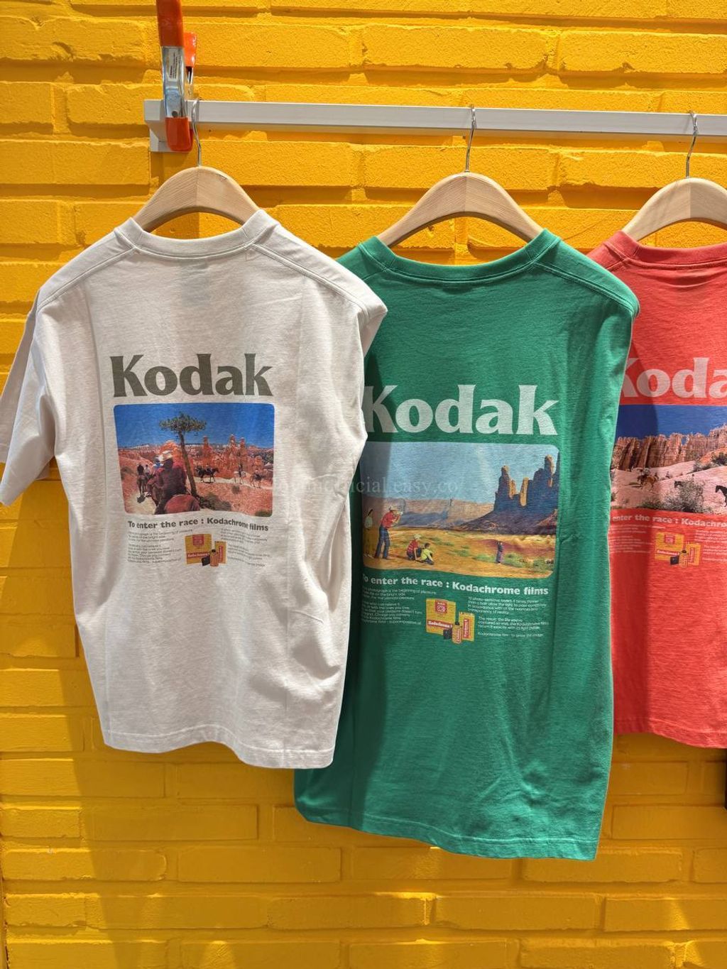 image_9D7230B8-DCF4-4C69-943B-1F1D277E35D9_1770528810