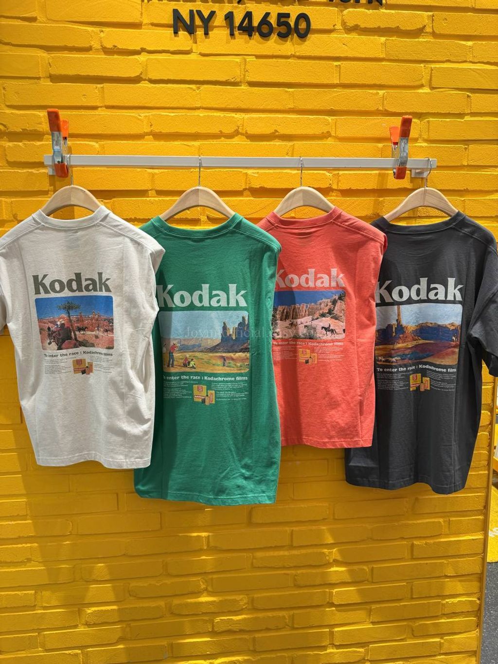 image_DFDAA28E-BFDE-4BFD-A532-3C9FCB385DCC_1770528810