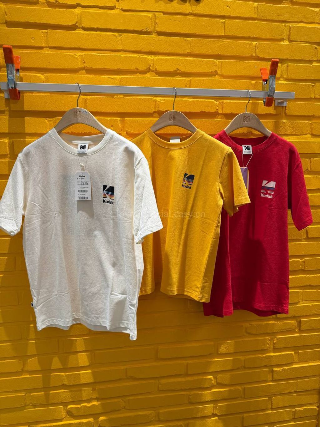 image_1898A67F-ECBC-4ECD-89E2-95F39C36366C_1770528926