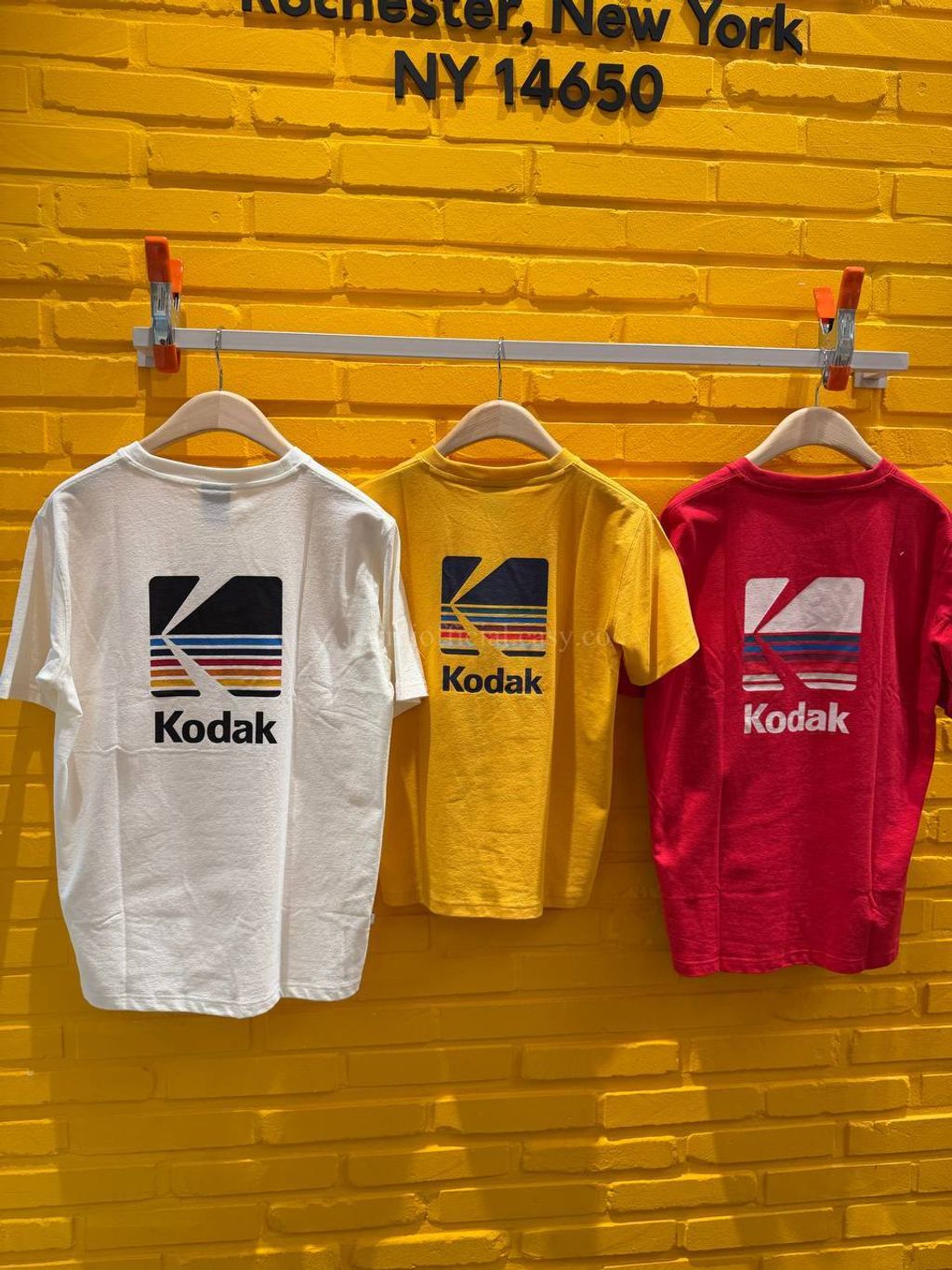 image_3588FB89-B281-4414-BCDC-0FF3F02B5FAA_1770528926