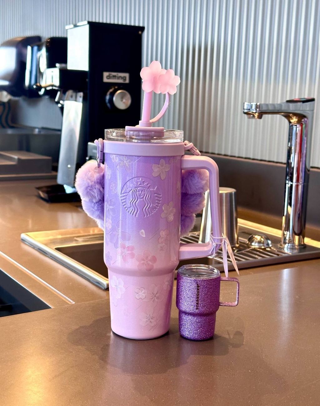 image_41E963B0-4088-41B2-A963-3AA9662E06F8_1772192621