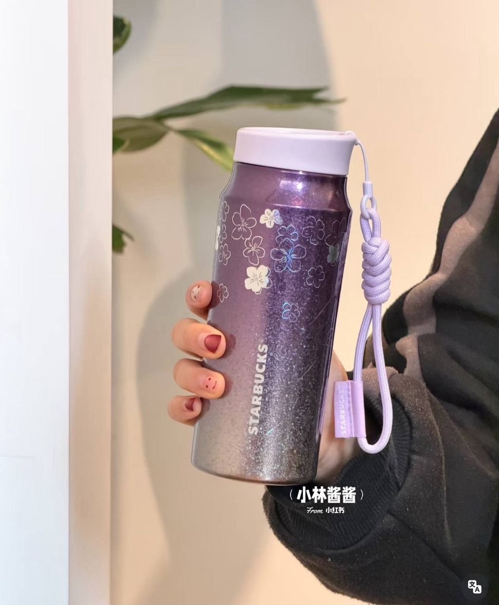 image_6CB305E4-22AF-40F6-978E-8A2025D32236_1772193125