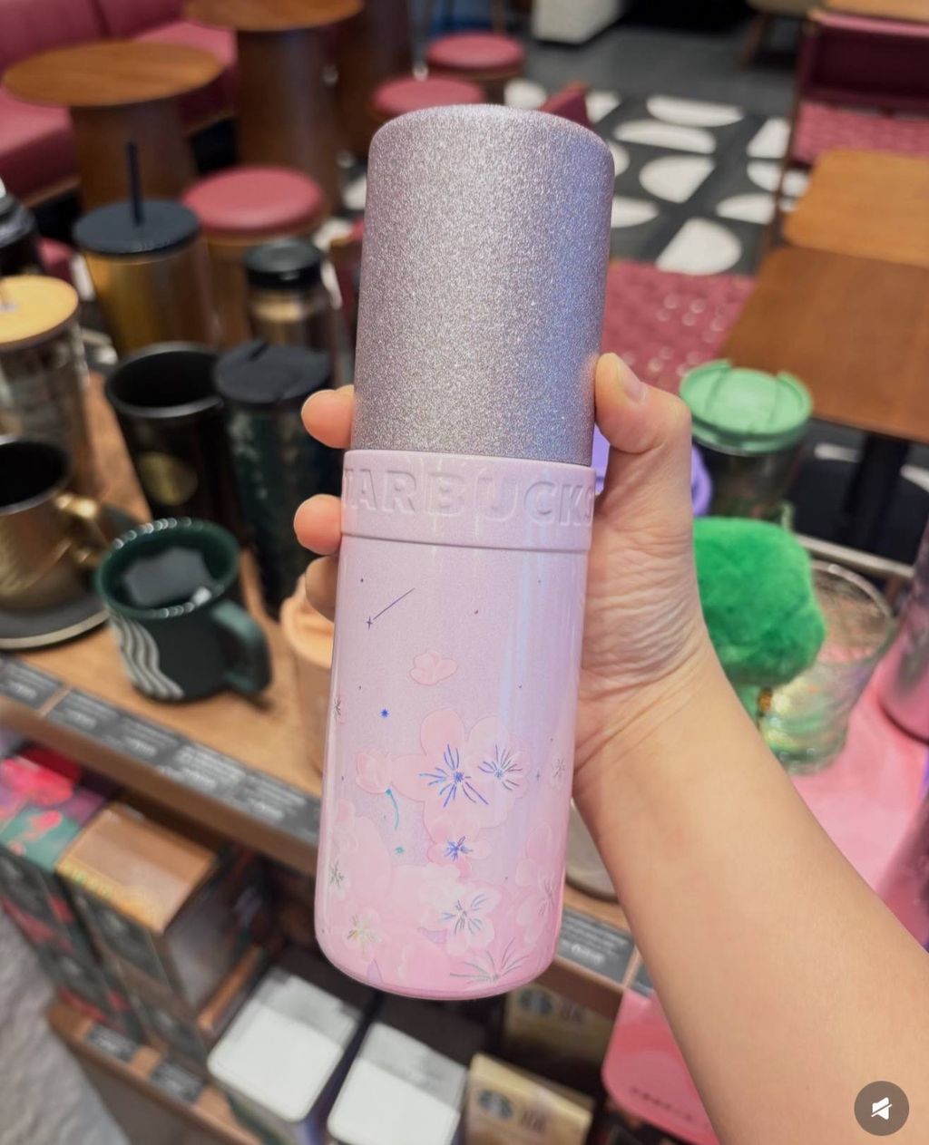 image_27AB8D6D-1848-4054-92A8-EBF4EE83B215_1772193181