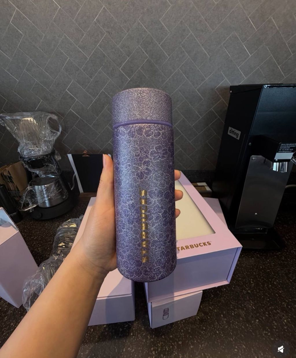 image_A947455F-A0E7-45B0-97C6-778DE5DE7193_1772193232