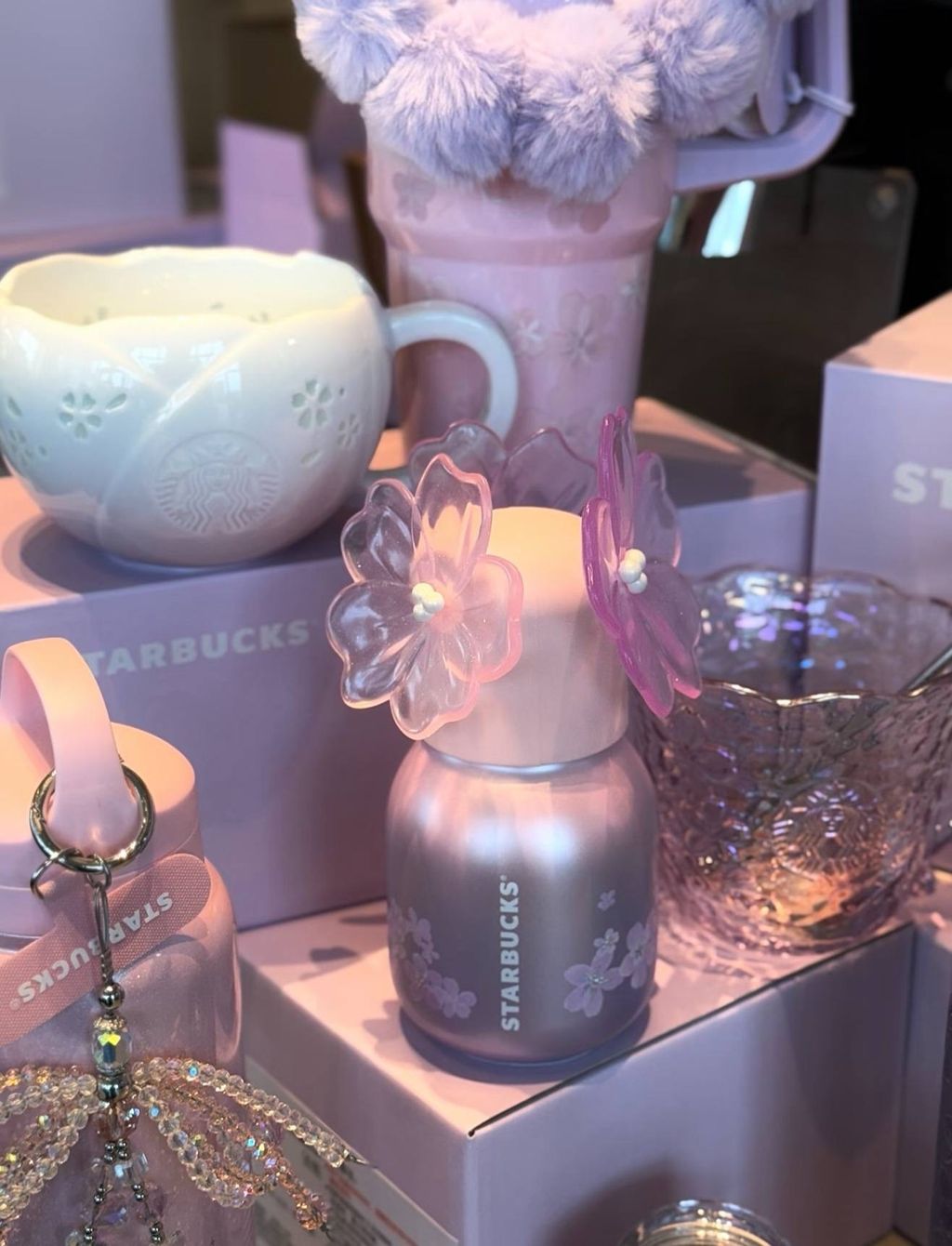 image_1C304BC3-1713-4535-8A67-DCEFAC043E00_1772193327