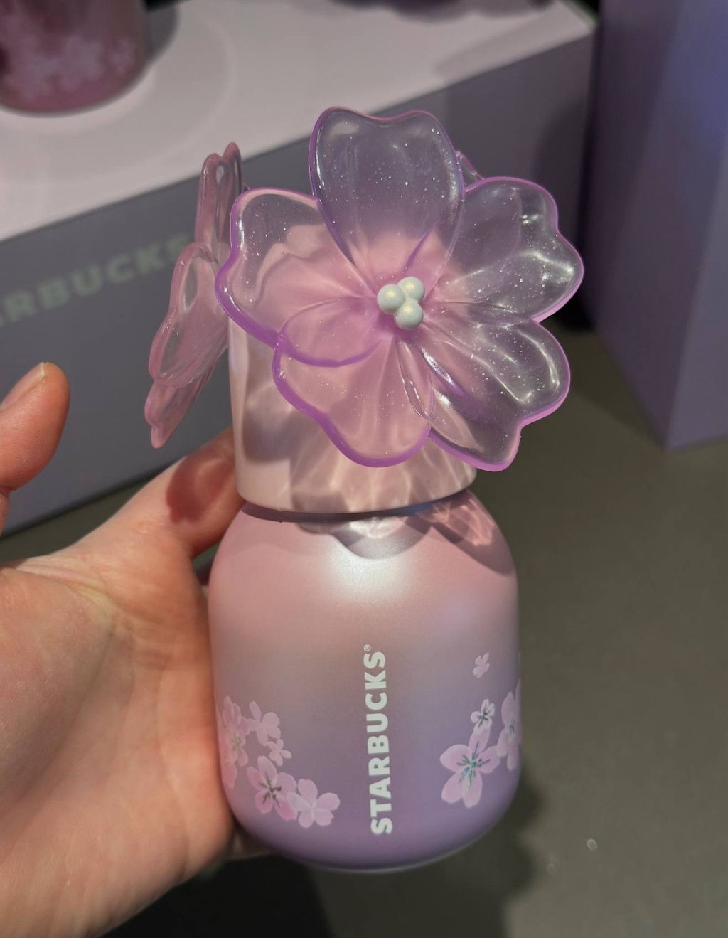 image_7B67A9F7-7E13-4C79-BA72-20DAB2266DE6_1772193327