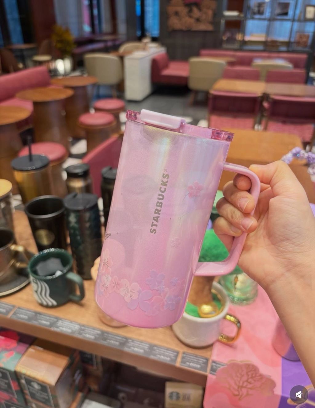 image_E71B2B1A-0727-4A58-A09B-2A9A65BFF276_1772193730