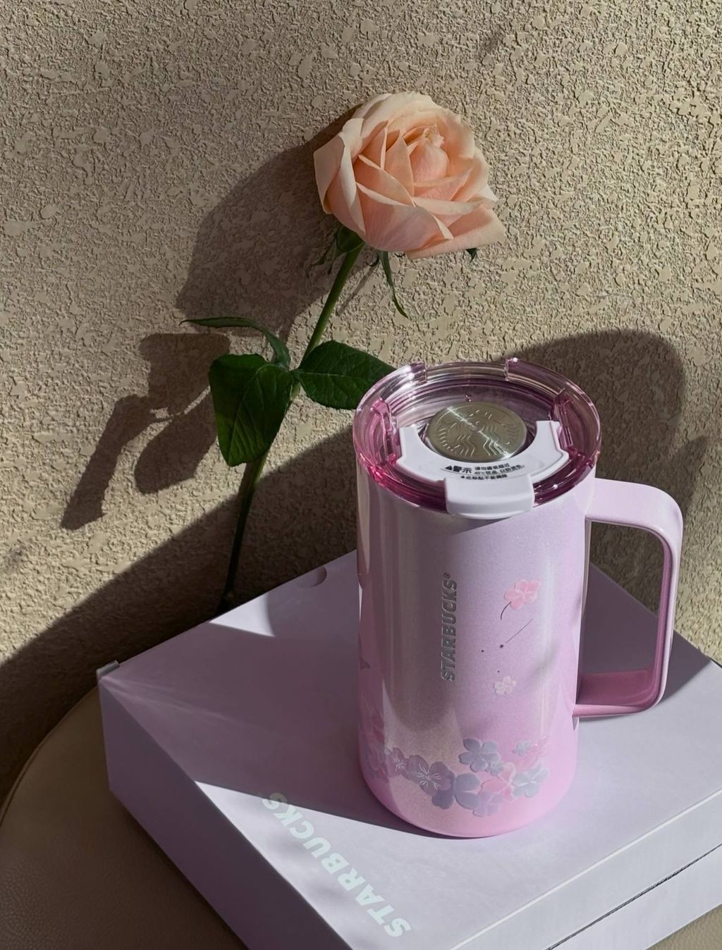 image_D48B5BF9-8C57-419B-9FDF-5346B5EE56C3_1772193730