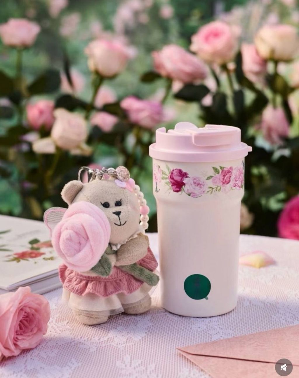 image_2928AC62-9ED5-45ED-8DFF-64A203F98883_1772229450