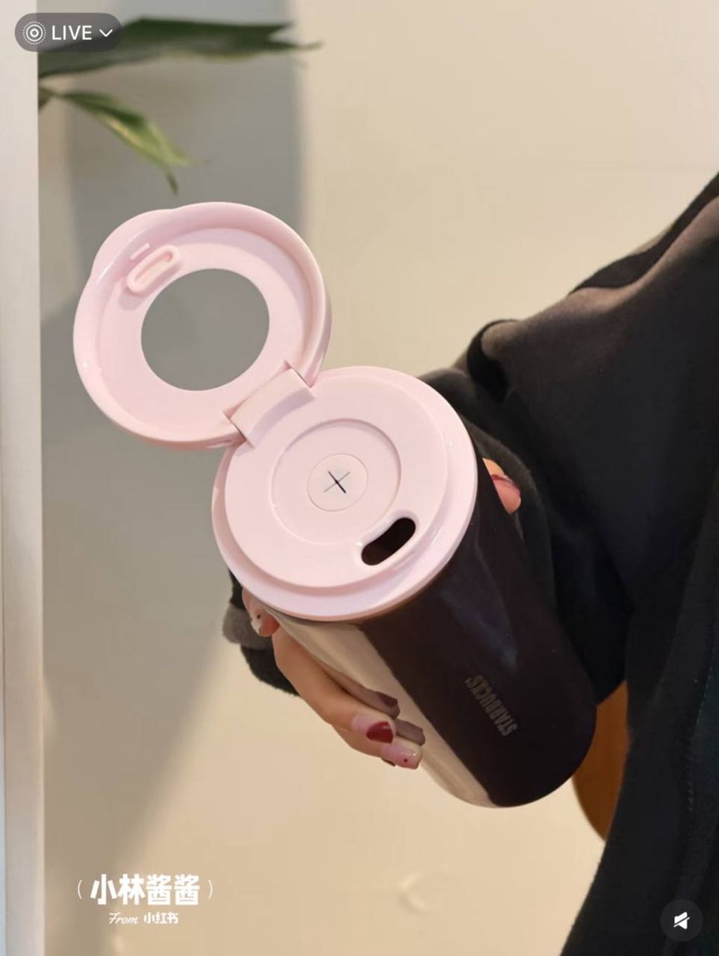 image_0314AA81-F068-4C28-962A-9CB0211DAB23_1772229770