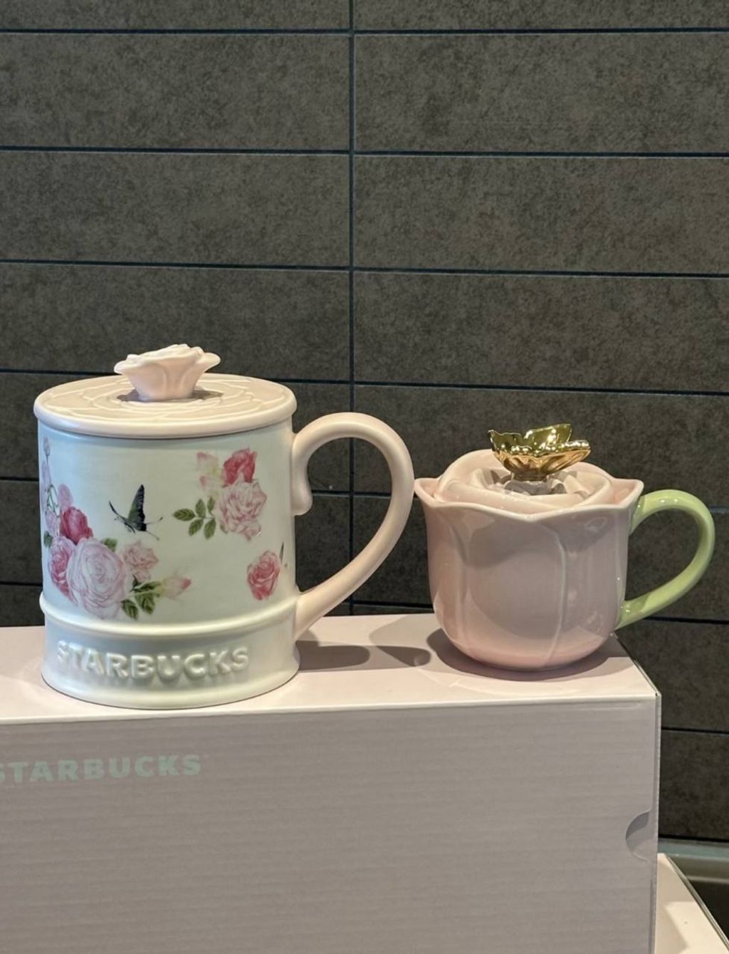 image_471DD047-D099-431A-B03A-12ACA4713429_1772229850