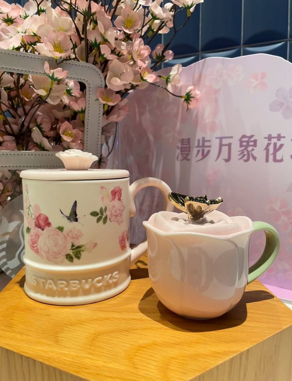 image_097ED6EA-72D2-46FC-A4BA-352165F77488_1772229850