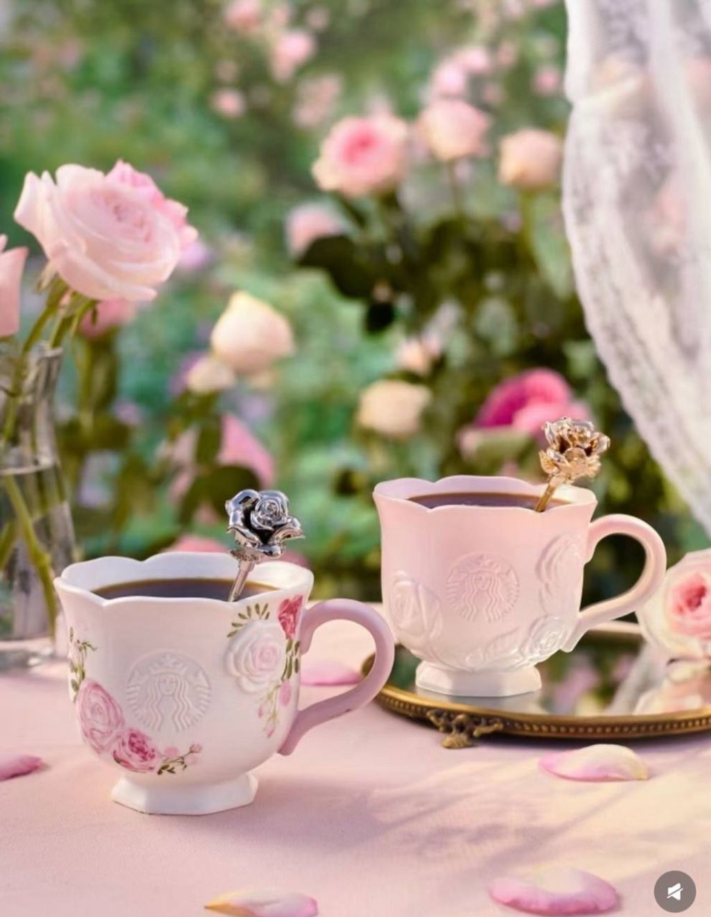 image_FE157876-0038-4E7B-A5B9-00C4A0C0CEBE_1772229920