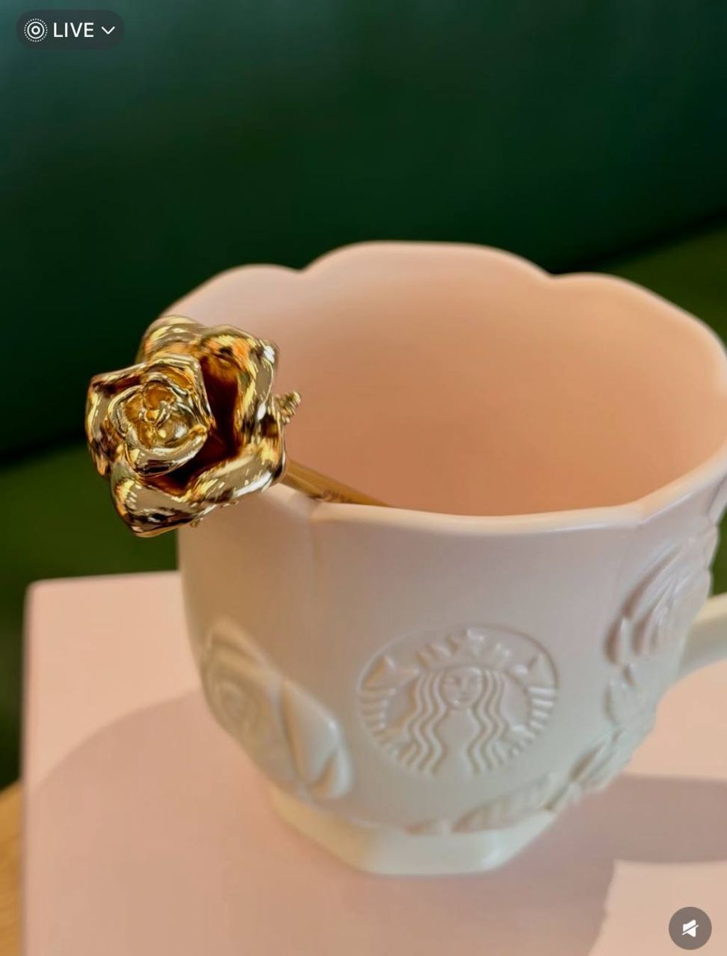 image_CF7550B2-C769-4D36-BAF3-9EE533926612_1772229920