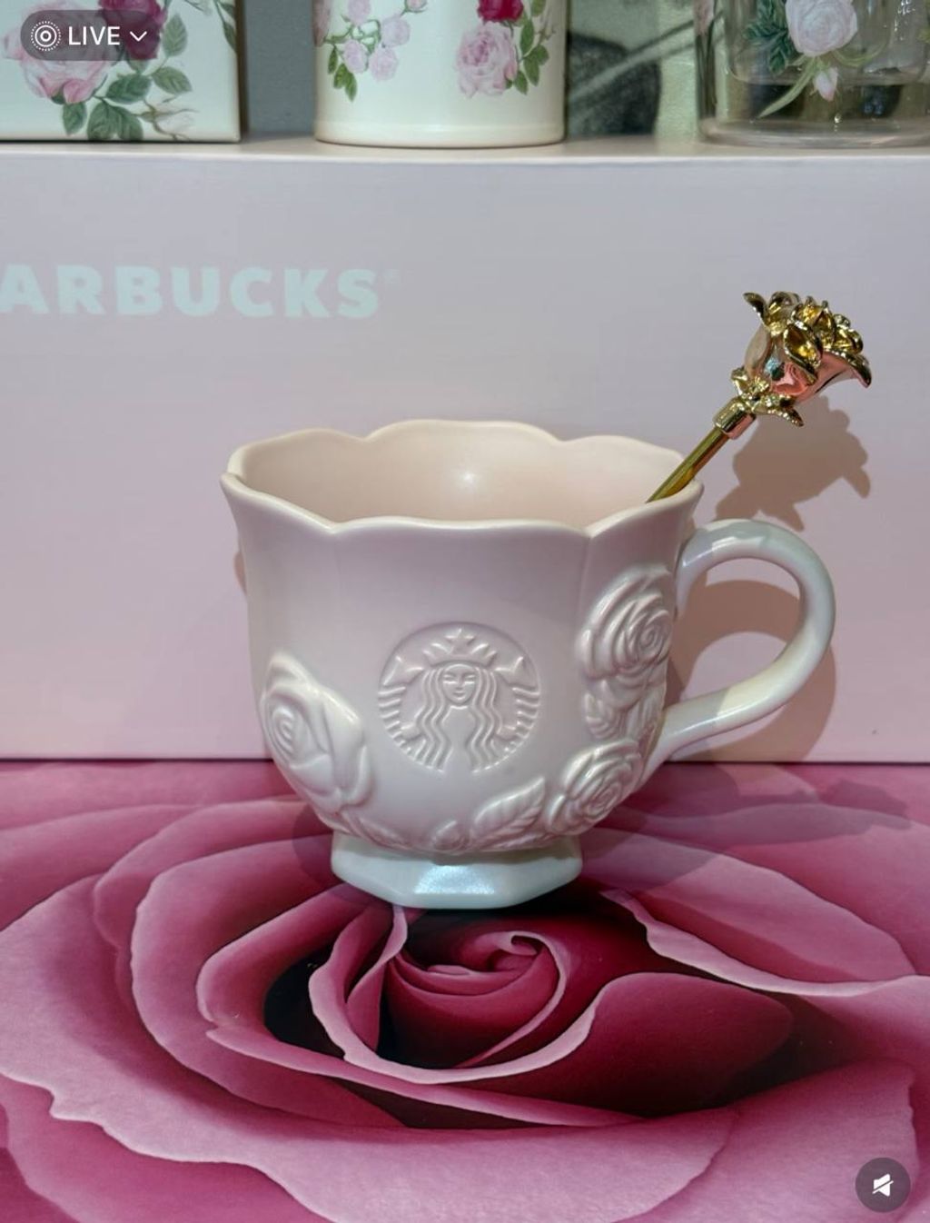 image_61B27CB8-4AFD-4D60-8902-AEB3D7BCDB24_1772229920