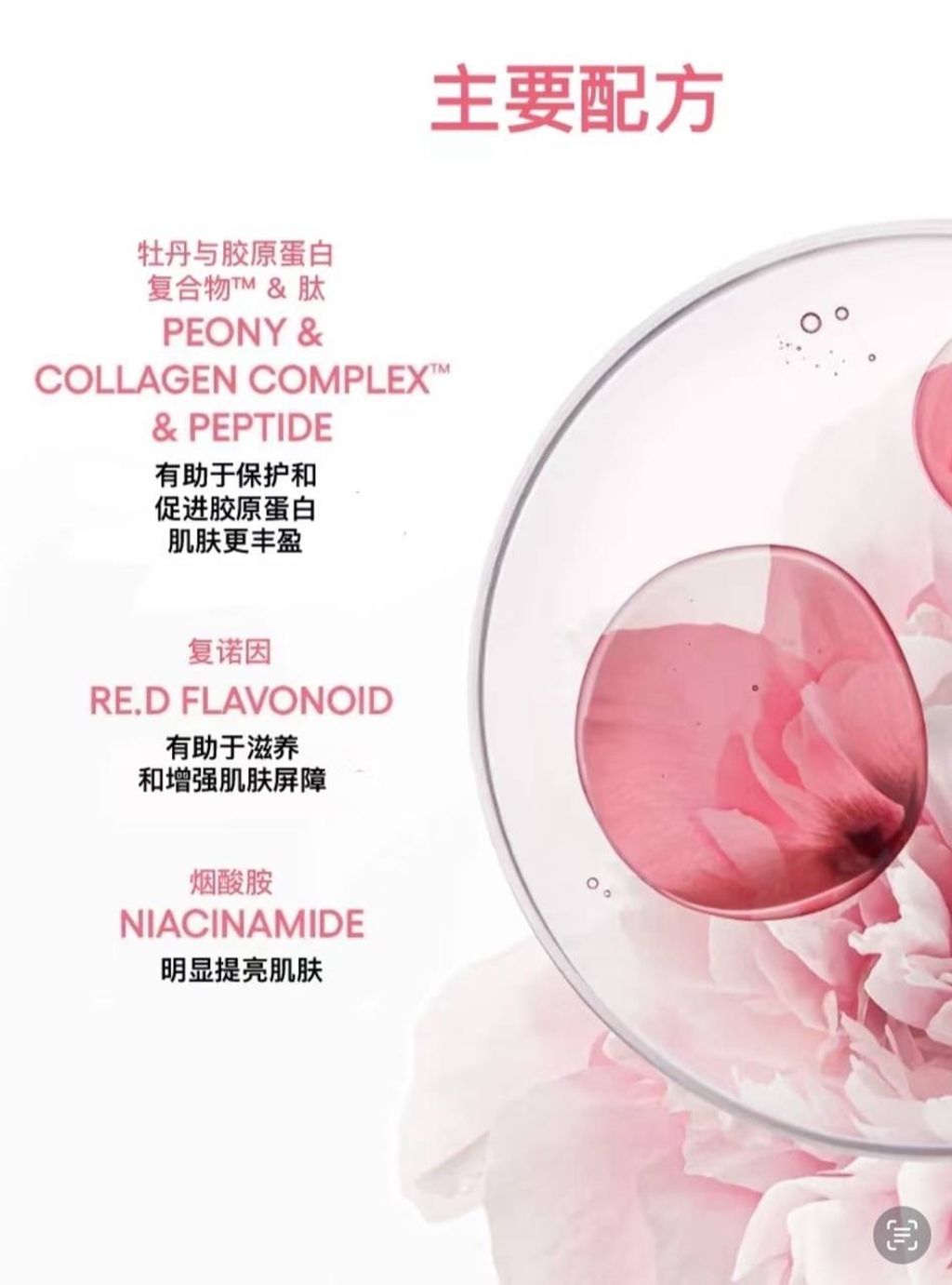 image_7C7000D9-D1A2-4D39-A5D5-8F5487C49177_1744277721