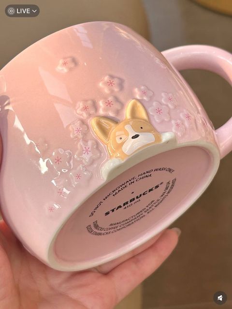 image_A7636CB4-B9D5-46DB-BCF8-ECF527D20353_1772278485