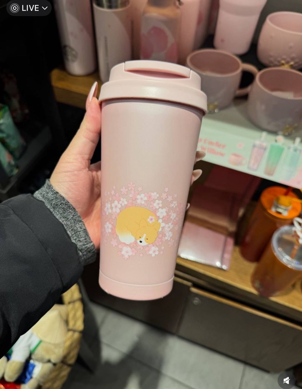 image_AD0A89F2-337A-424E-BD46-E270DEA9FB7A_1772278608