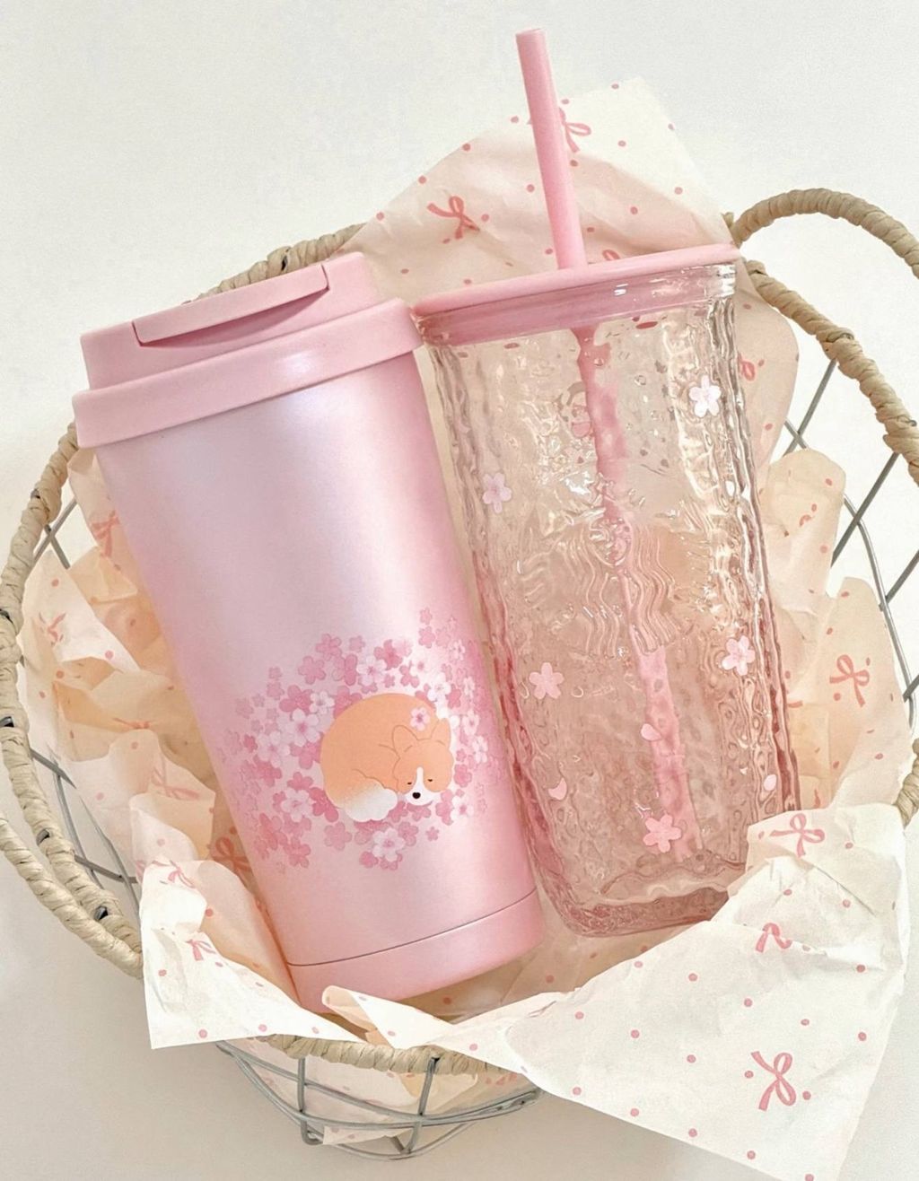 image_3DD77A73-3DF3-492F-B079-357177486247_1772278608