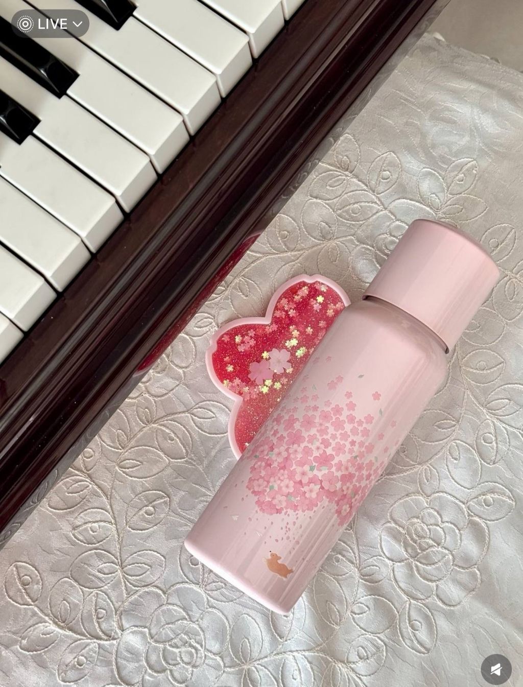 image_4B4AC50F-CB38-4062-9A74-DCA210301DE3_1772278702