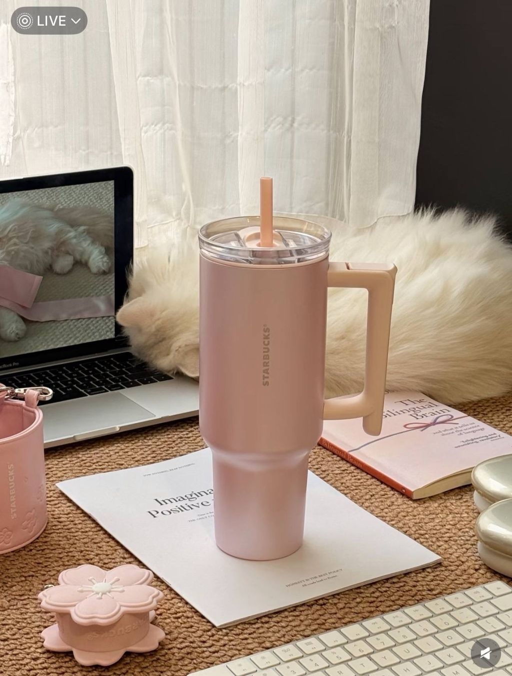 image_4CA98464-F2E4-4AC2-AFD9-52175D8671EB_1772280611