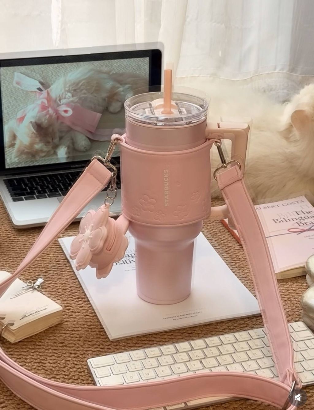 image_12F1CBBD-9B1A-4E04-9B5E-D92DB355D3BE_1772280611