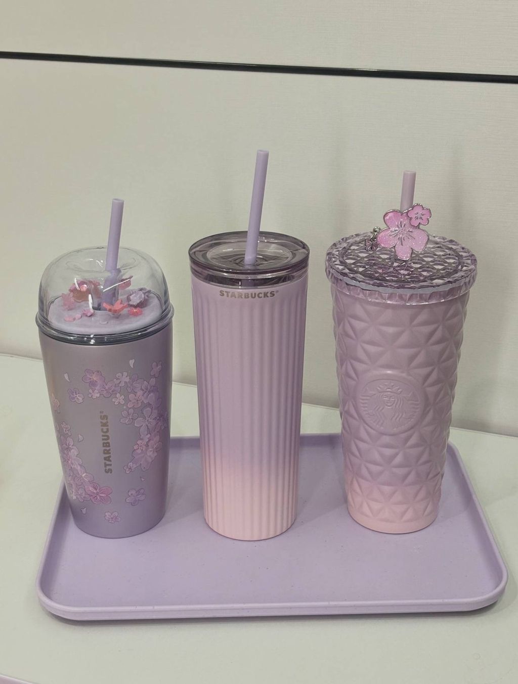 image_814498CB-A51E-40E4-9939-A76E4992146E_1772280718