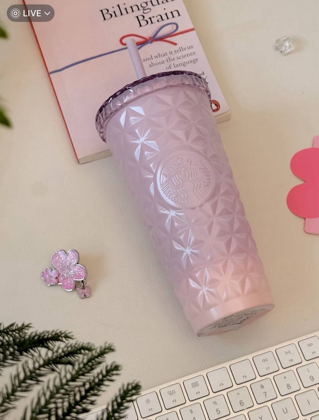 image_4C0627F2-9CFC-44A9-B4ED-C1272D1D59C5_1772280828