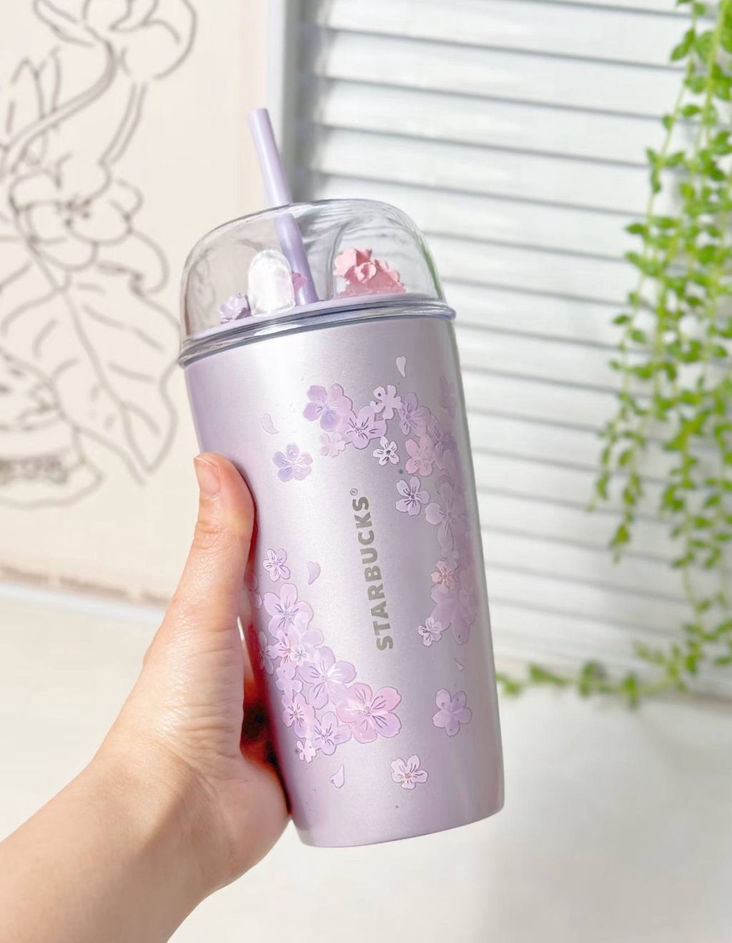 image_825C1ED7-BE45-4D07-9538-E4768FDEE798_1772280934