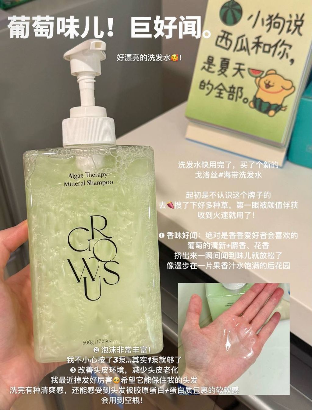 photo_2_2026-01-15_11-06-56