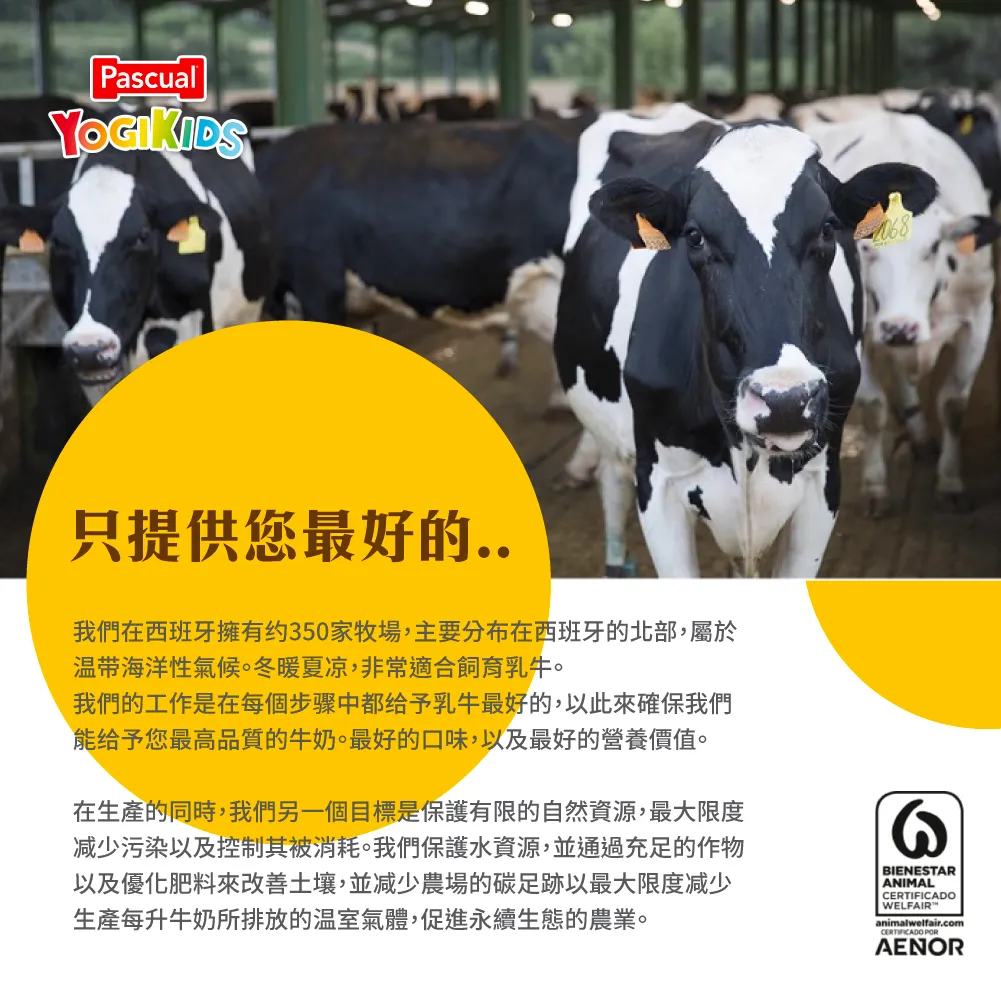 o_1hsjs8ceso32b551i1h1ikthq25