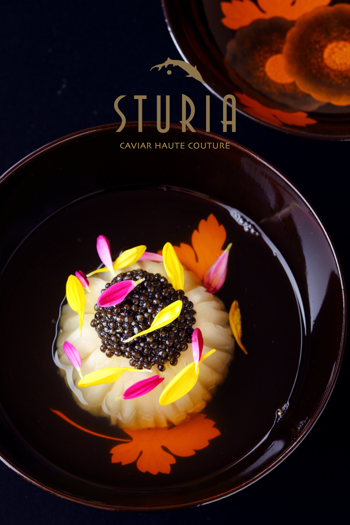 Caviar Sturia