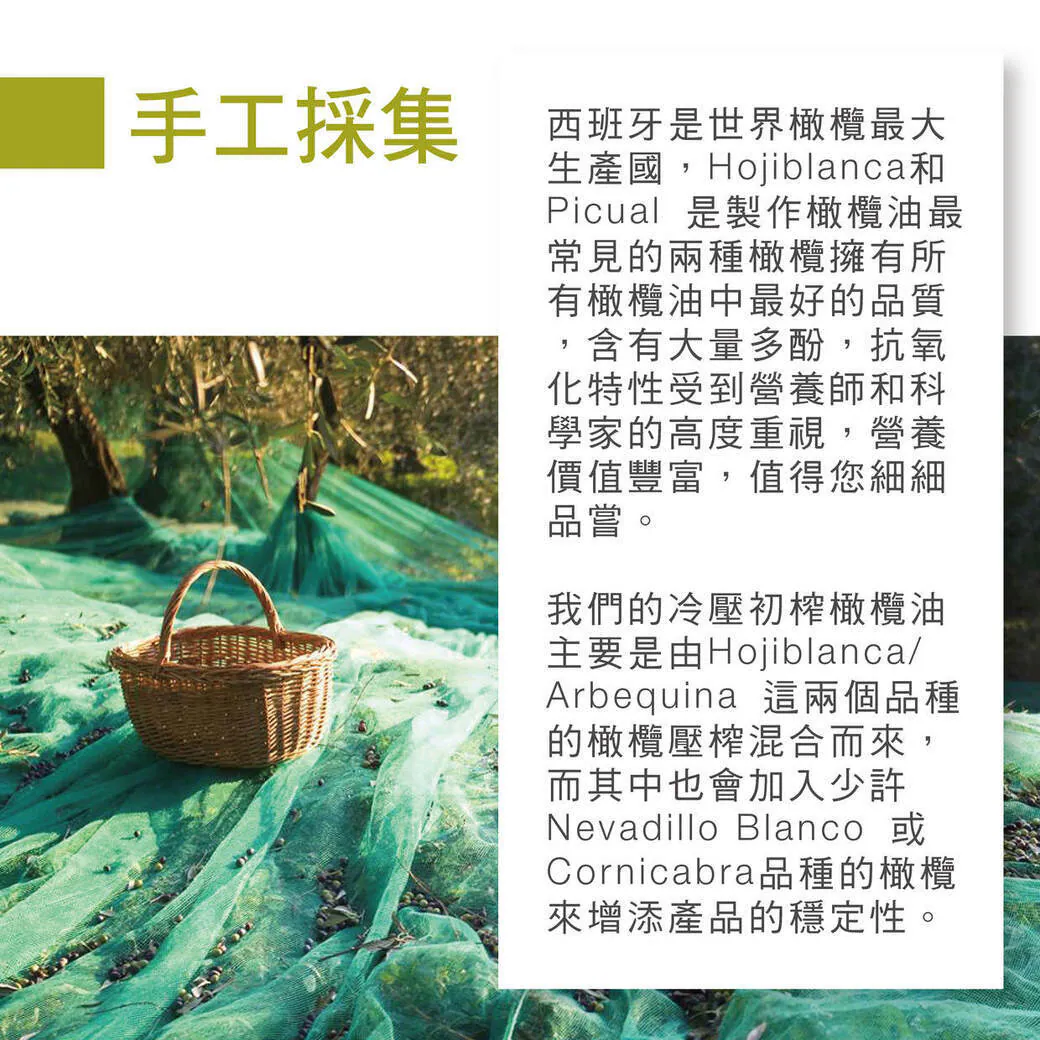 聖加多手工採集特級初榨橄欖油